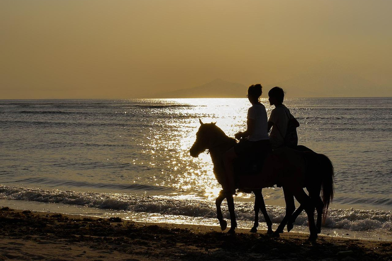 Gili Trawangan : Biking, Horse Riding, Paddle Boat & Sunset