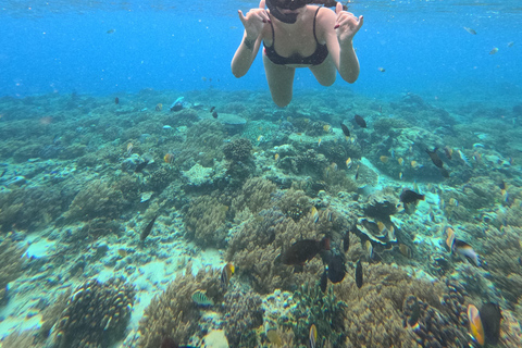 Lombok: Tour in barca delle isole Gili Nanggu, Sudak e Kedis