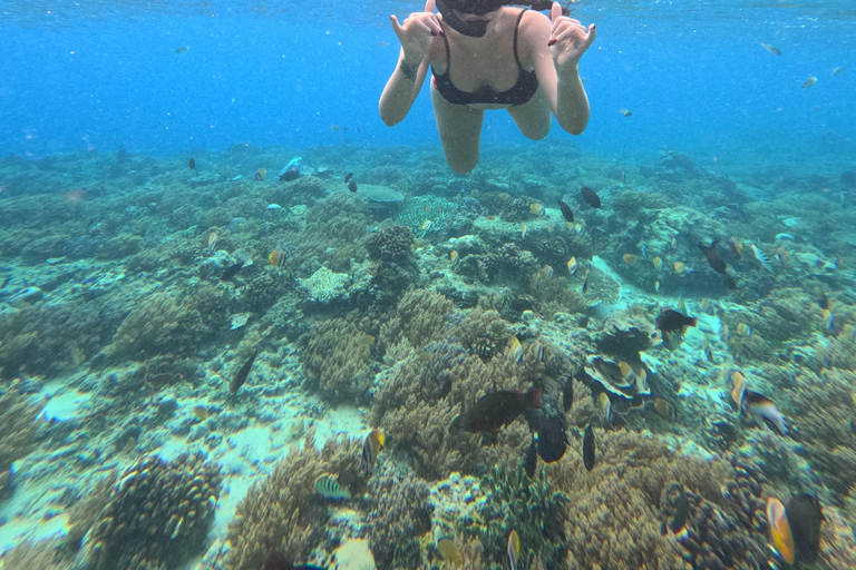 Lombok: Tour in barca delle isole Gili Nanggu, Sudak e Kedis