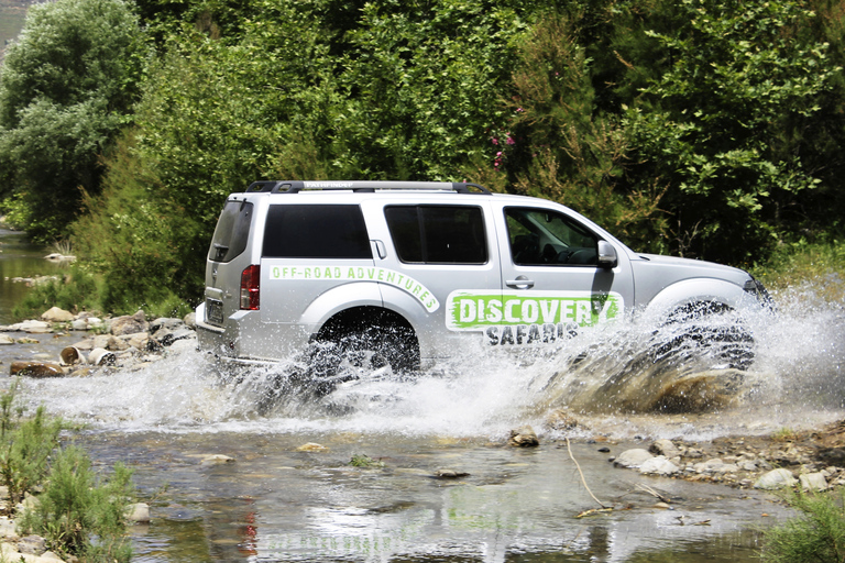 Safari di lusso in Jeep sulla costa meridionale, Palm Beach e Canyon