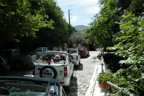 Safari sans chauffeur en Crète : Palm Beach et canyons