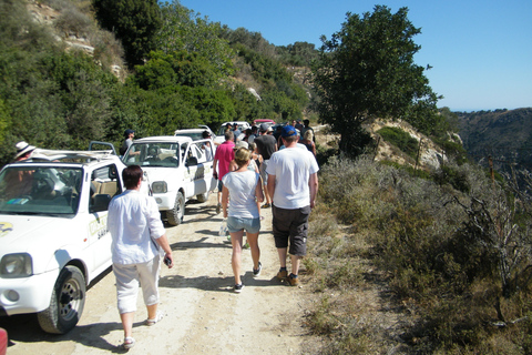 Safari de jipe autônomo para South Coast, Palm Beach e Canyons