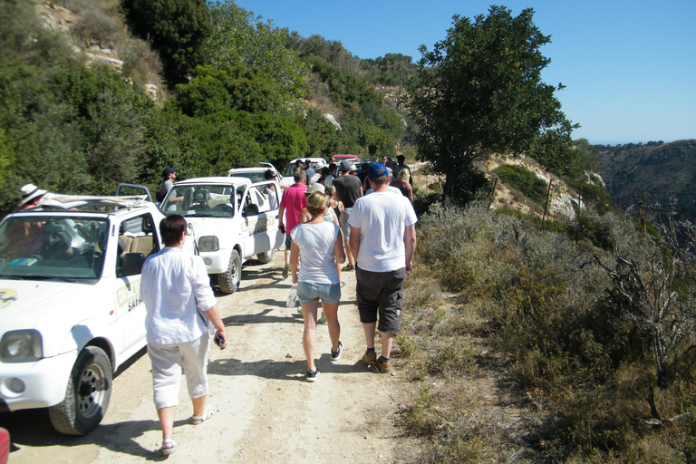 Safari de jipe autônomo para South Coast, Palm Beach e Canyons