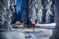 Rovaniemi, Snowmobile Safari & Campfire Evening Escape - Housity