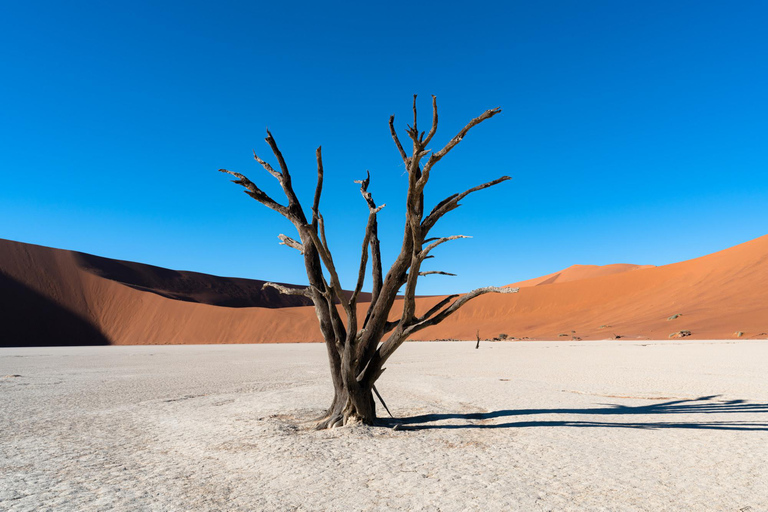 Namibië Ontdekkingsreis