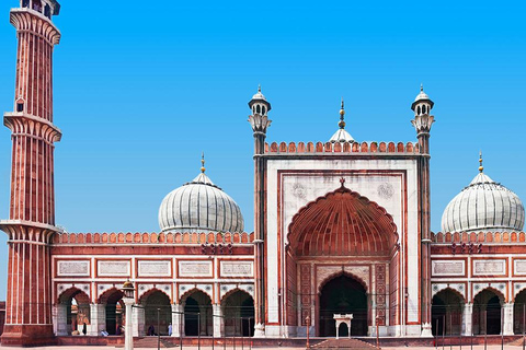 Delhi: tour espiritual com guia de turismo e transporte