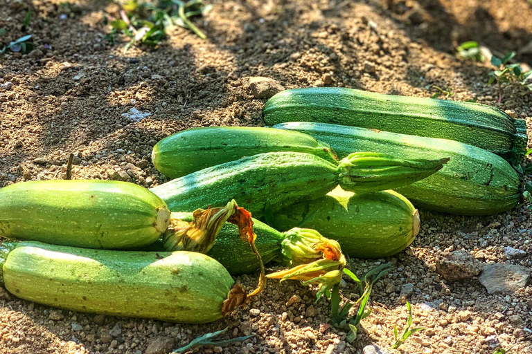 Mykonos: Traditionele kookles met de lokale bevolking