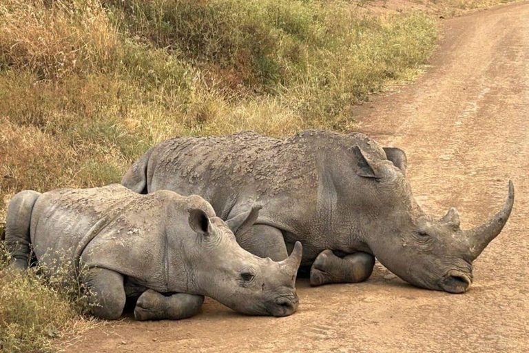 Viagem de 1 dia ao Parque Nacional de Nairóbi e ao Sheldrick Elephant Trust