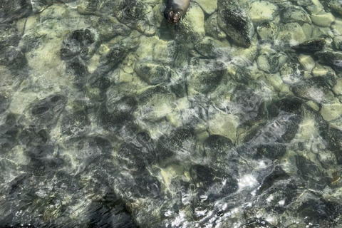 Santa Cruz: Kayaking and Snorkeling Adventure in Academia Bay