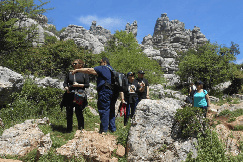 Z Granady: Lobo Parque i Torcal de Antequera, wycieczka przygodowaZ Granady: Lobo Parque i Torcal of Antequera