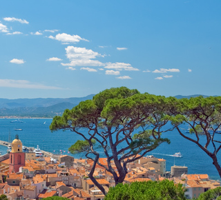 Saint Tropez: Excursions à la journée depuis Cannes