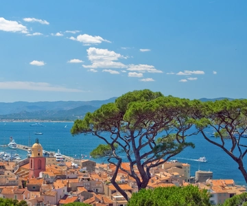 Cannes: Round-Trip Boat Transfer to Saint Tropez
