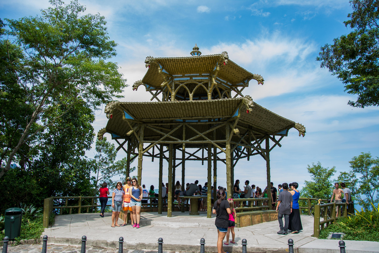 Park Narodowy Tijuca z fotografemRio de Janeiro: Wycieczka fotograficzna do Corcovado i lasu Tijuca