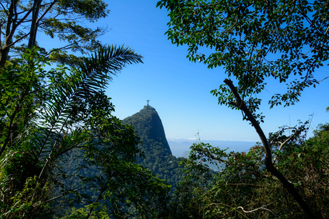 Park Narodowy Tijuca z fotografemRio de Janeiro: Wycieczka fotograficzna do Corcovado i lasu Tijuca