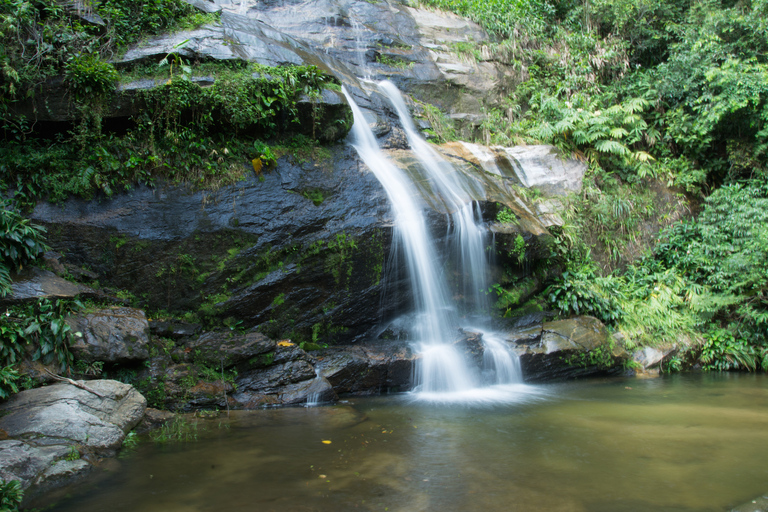 Park Narodowy Tijuca z fotografemRio de Janeiro: Wycieczka fotograficzna do Corcovado i lasu Tijuca