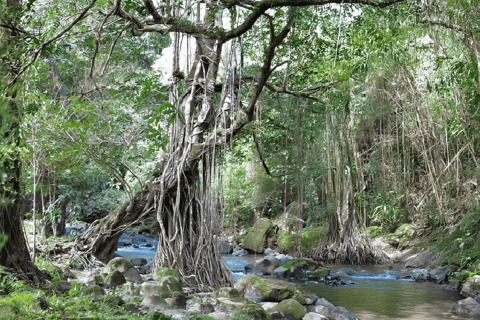 Panama City: Ultimatives ATV Dschungel- und Vulkan-AbenteuerKein Transport inbegriffen