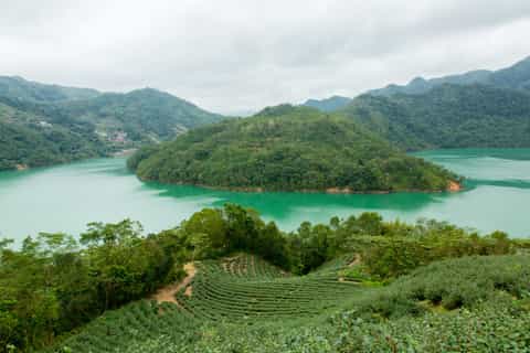thousand island lake e pinglin tea plantation di taipei