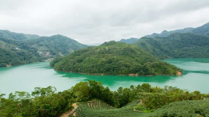 thousand island lake e pinglin tea plantation di taipei
