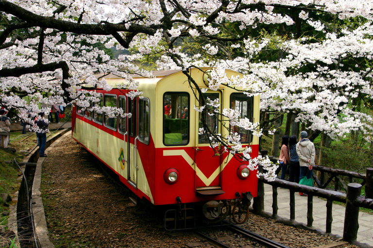 From Taipei: Private 3-Day Tour to Sun Moon Lake and Alishan Premium Hotels | Solo Traveler
