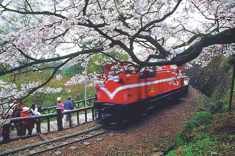 From Taipei: Private 3-Day Tour to Sun Moon Lake and Alishan Premium Hotels | Solo Traveler