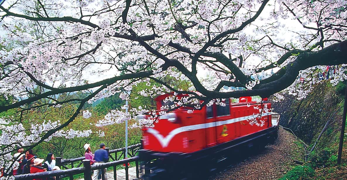 3-Day Tour of Sun Moon Lake, Puli, Lukang and Alishan
