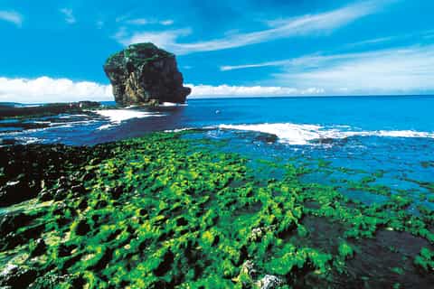 4-Day Tour of Central and Southern Taiwan from Taipei