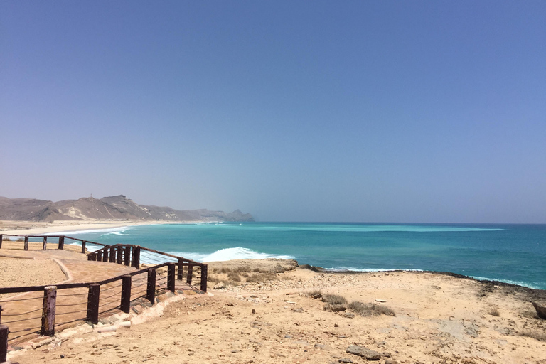 塞拉莱：乳香之路、骆驼农场和海滩之旅