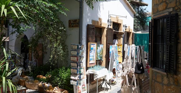 From Ayia Napa/Protaras: : Walking tour of Nicosia