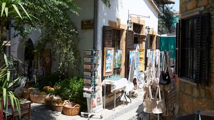 from ayia napa nicosia guided tour
