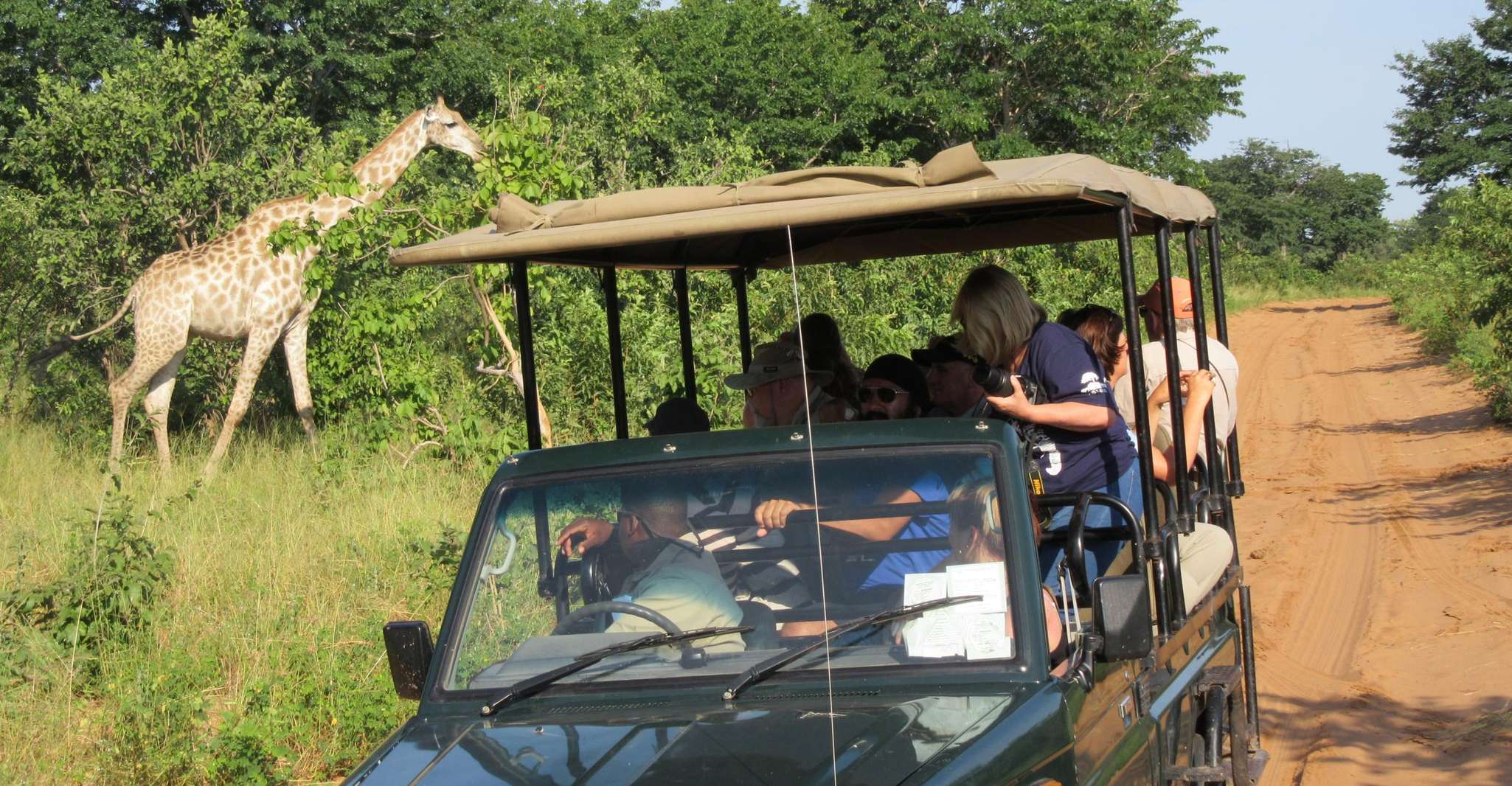 Chobe Day Trip from Victoria Falls, Zimbabwe - Housity