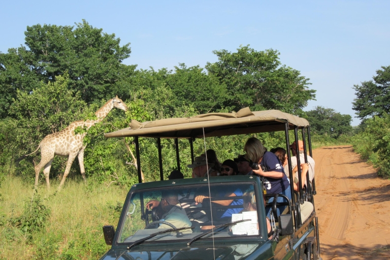 Chobe-Nationalpark: Tagestour ab den Victoriafällen Zimbabwe