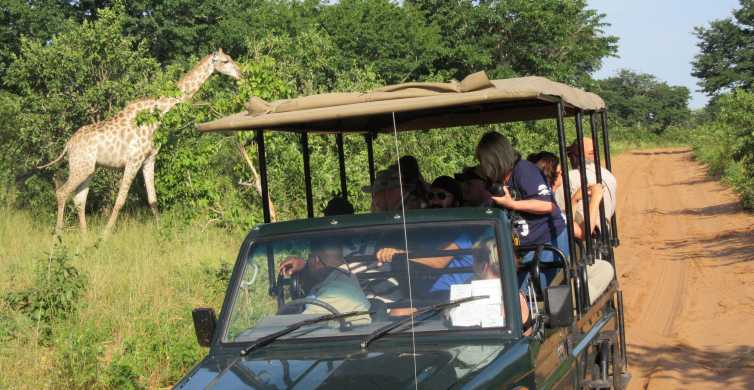 Parco del Chobe: tour di 1 giorno da Cascate Vittoria