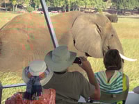 CHOBE DAY TIT da Victoria Falls, Zimbabwe - Housity