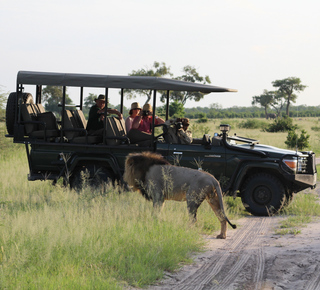 Day Trips and Tours from Victoria Falls