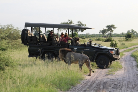 Chobe-Nationalpark: Tagestour ab den Victoriafällen Zimbabwe