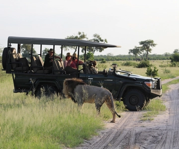 Excursión de un día a Chobe desde las cataratas Victoria (Zimbabue)