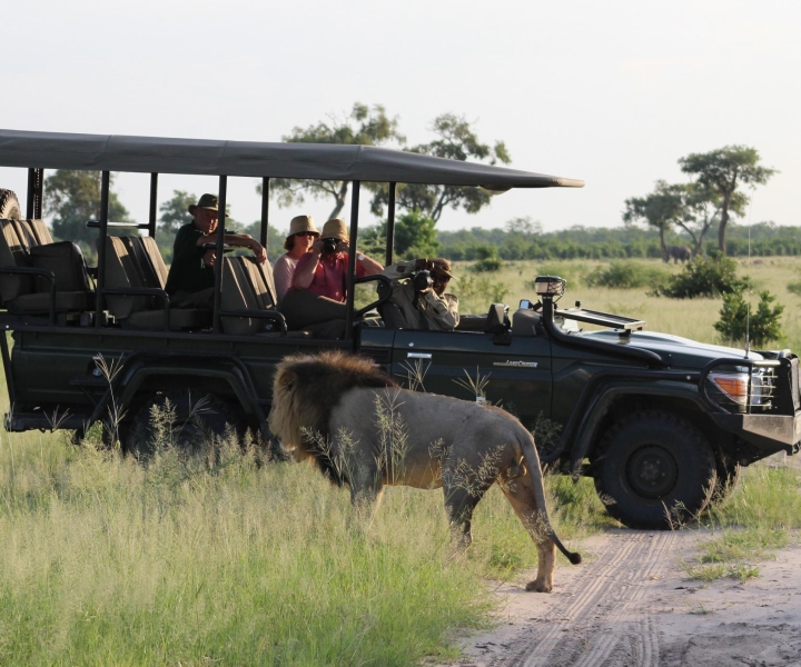 Parco del Chobe: tour di 1 giorno da Cascate Vittoria