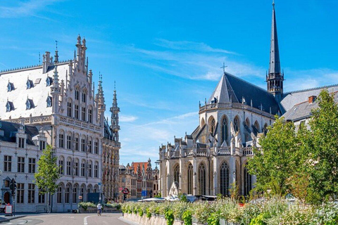 Pearls of Leuven – Private Walking Tour