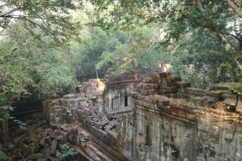 Von Siem Reap: Halbtagestour zum Beng Mealea TempelAngkor Halbtagestour zum Beng Mealea Tempel