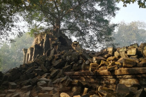 Z Siem Reap: półdniowa wycieczka do świątyni Beng MealeaAngkor Half-Day Tour do świątyni Beng Mealea