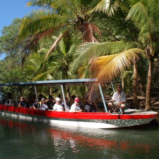 Quepos: Damas Island Mangrove’s Boat Tour