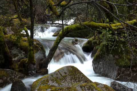 Peneda-Gerês National Park Full-Day Tour