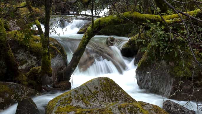 excursão de 1 dia ao parque nacional da penedagerês