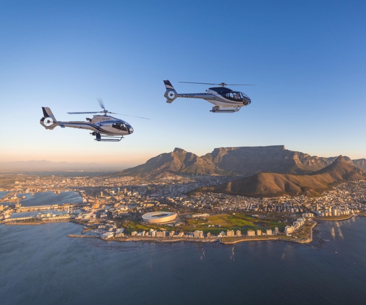 Cape Town: vol en hélicoptère sur 2 océans avec croisière