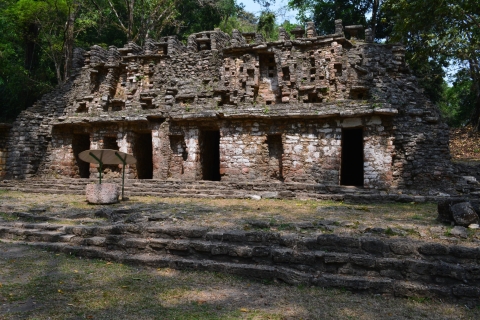 Palenque: ruïnes Yaxchilan & Bonampak en LacandonjungleYaxchilan & ruïnes Bonampak & Lacandonjungle in het Spaans