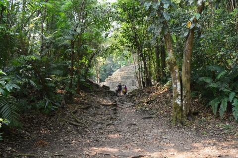 Yaxchilán, Bonampak y Selva Lacandona desde PalenqueYaxchilán, Bonampak y selva Lacandona en español