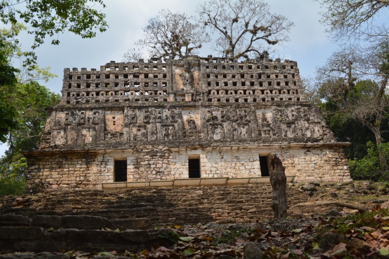 Palenque : ruines de Yaxchilan, Bonampak et jungle lacandoneRuines d'Yaxchilan et Bonampak, jungle lacandone en espagnol