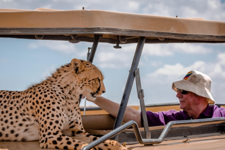 Tanzania: 10-Day Treasures of Wild Luxury Safari | amara
