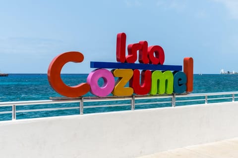 From Cancun: Cozumel Tour with Snorkeling and Lunch