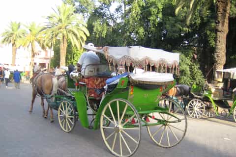 Marrakech City Tour by Carriage